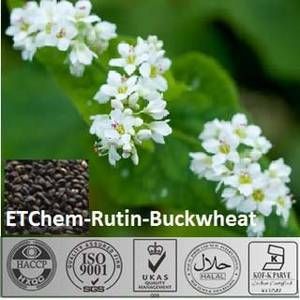 Rutin-Sophora Japonica Extract Rutin-Sophora Japonica Extract