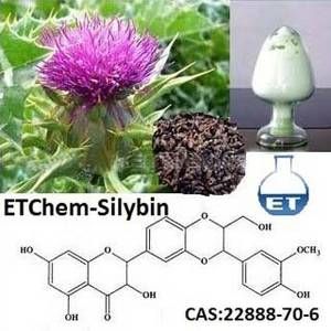Silymarin Silymarin
