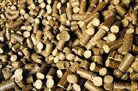 briquette biomass fuel