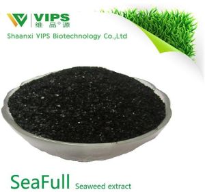 Seaweed Extract