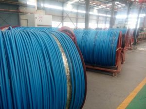 Pressure Washer Hose