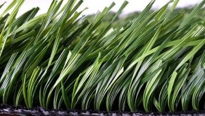 Man Made Lawn For Football/ Scoccer