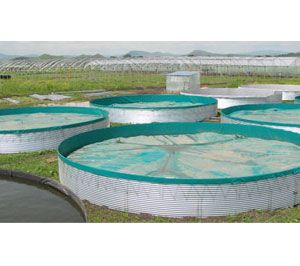 Genap High Capacity Water Tanks