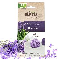 Wild Lavender Home Bursts