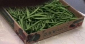 Short Beans
