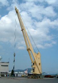 Offshore Pedestal Deck Cranes