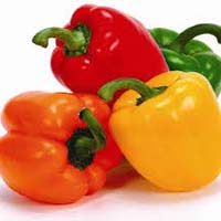 fresh capsicum