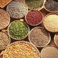 indian pulses