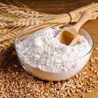 Wheat Flour