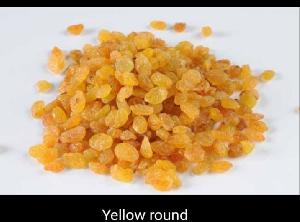 Round Yellow Raisins