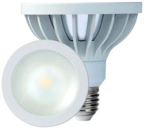 LED PAR30 Light