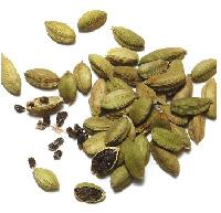 green cardamom