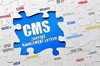 Cms Website