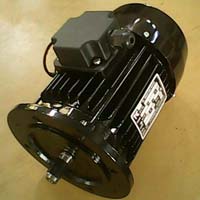 0.5HP AC Induction Motor
