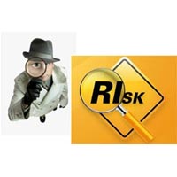 Enterprise Risk Management Services