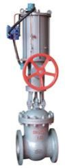 Pneumatic Power Station Gate Valve