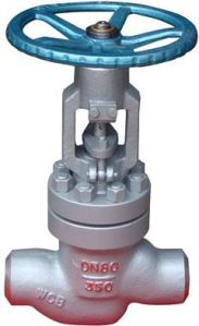 The Power Station Globe Valve