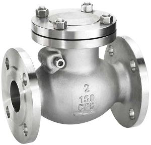 The Swing Flange Of Type Check Valve
