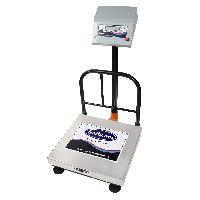 Economy Stainless Steel Platform Weighing Scale