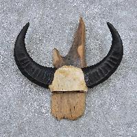 buffalo horn