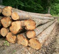 PW-003 Pine Wood Logs