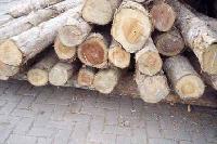 TW-003 Columbian Teak Wood Logs