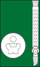 Coloumns Pear Bulb Coloumns Pear Bulb