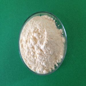 L-Arginine Powder Factory Direct Supply