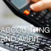 ACCOUNTS AND AUDITS