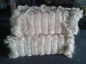 Sisal Fiber, Packaging Type : in belas of 100 kg