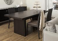 Modern Dining Table