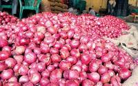 Nashik Lasalgaon Onion