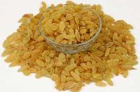 Natural Golden Long Sangli Premium Quality