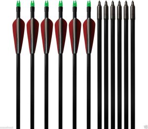 12pcs Anti-crack Rotating Nock Archery Fiberglass Arrows For Field Sho