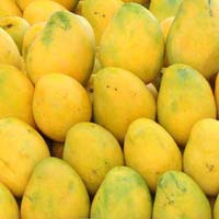 fresh mango