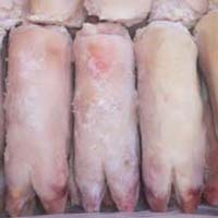 Frozen Pork Feet