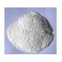 sodium carboxymethyl starch
