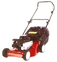 Lawn Mower (Petrol)