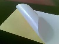 cast coated papers