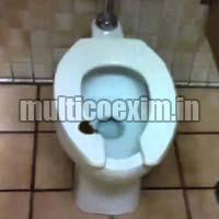 Ceramic Toilet Seat