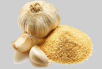 Garlic Powder- Allium Sativum Lasuna Lehsun