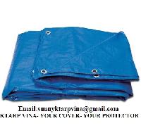 Blue Tarpaulin