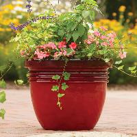 decorative ceramic planters