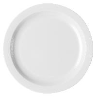 10 Inch disposable plate