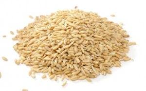 wheat grain
