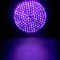ultraviolet lights