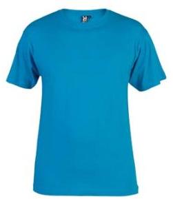 Mens T-shirt