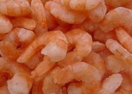 Shrimps