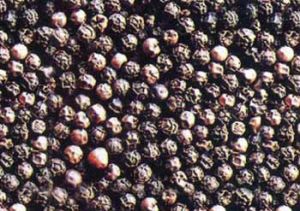 black pepper
