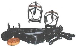 Driving Diplomat Harness